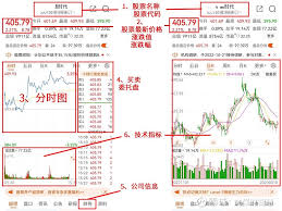 立案调查时间长的典型！国联股份财务造假牵动神经，受损股民快索赔